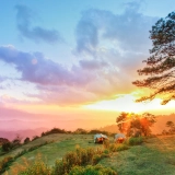 Tour di Huai Nam Dang 2 giorni: Un’Esperienza Avventurosa