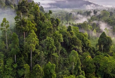 Tour in Moto nella Foresta Pluviale e Stazione di Rilascio della Fauna Selvatica