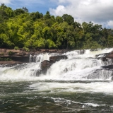 Tour di Trekking nelle Montagne Cardamom 4 Giorni: Avventura nella Giungla