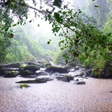 Tour di Trekking nelle Montagne Cardamom 4 Giorni: Avventura nella Giungla