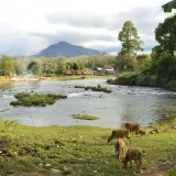 Tour di Laos Meridionale 4 giorni - Cultura e Avventura
