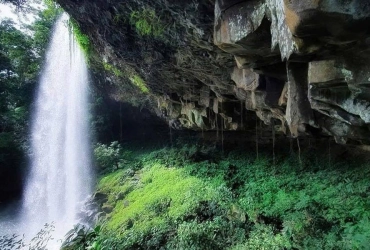 Proseguimento del Coffee Trail – Ritorno a Paksong (B, L, D)