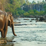 Tour del Bolaven Plateau e Pakse 7 giorni: Meraviglie del Laos del Sud
