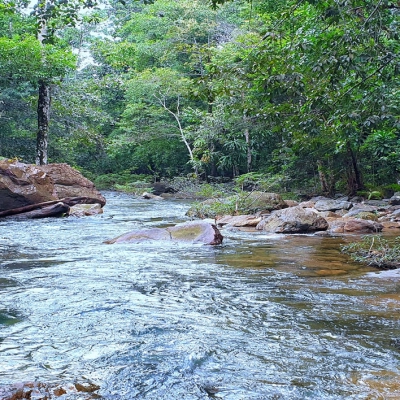 La cascata di Than Mayom