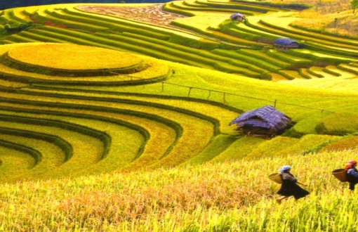 3 giorni a Mai Chau:  trekking, villaggi etnici e risaie