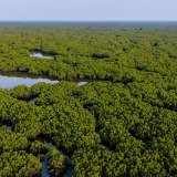 Tour di Nam Dinh 2 giorni: Natura, Arte Popolare e Vita Costiera Autentica