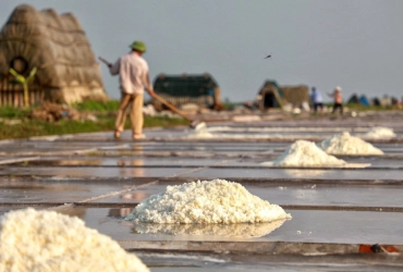 Parco nazionale di Xuan Thuy - Porto peschereccio di Giao Hai - Saline di Bach Long - Hanoi