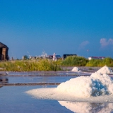 Escursione a Nam Dinh 1 giorno: Esplora della campagna