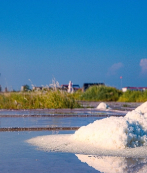 Escursione a Nam Dinh 1 giorno: Esplora della campagna