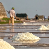 Escursione a Nam Dinh 1 giorno: Esplora della campagna