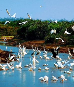 Tour di Nam Dinh 2 giorni: Cultura e Natura del Nord Vietnam