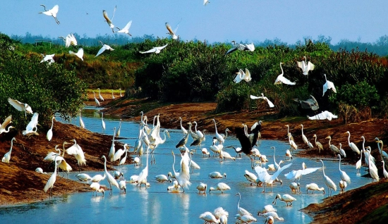 Tour di Nam Dinh 2 giorni: Cultura e Natura del Nord Vietnam