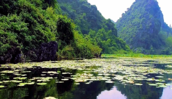 Tour di Nam Dinh 2 giorni: Cultura e Natura del Nord Vietnam