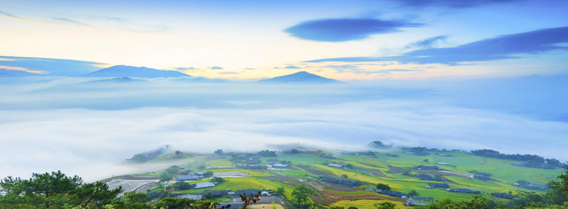 Viaggiare in Vietnam a gennaio: guida di viaggio completa