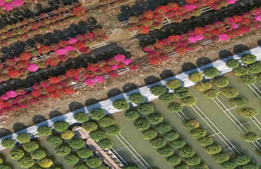 Viaggio al Villaggio dei Fiori di Sa Dec – Un’esperienza autentica nel Mekong