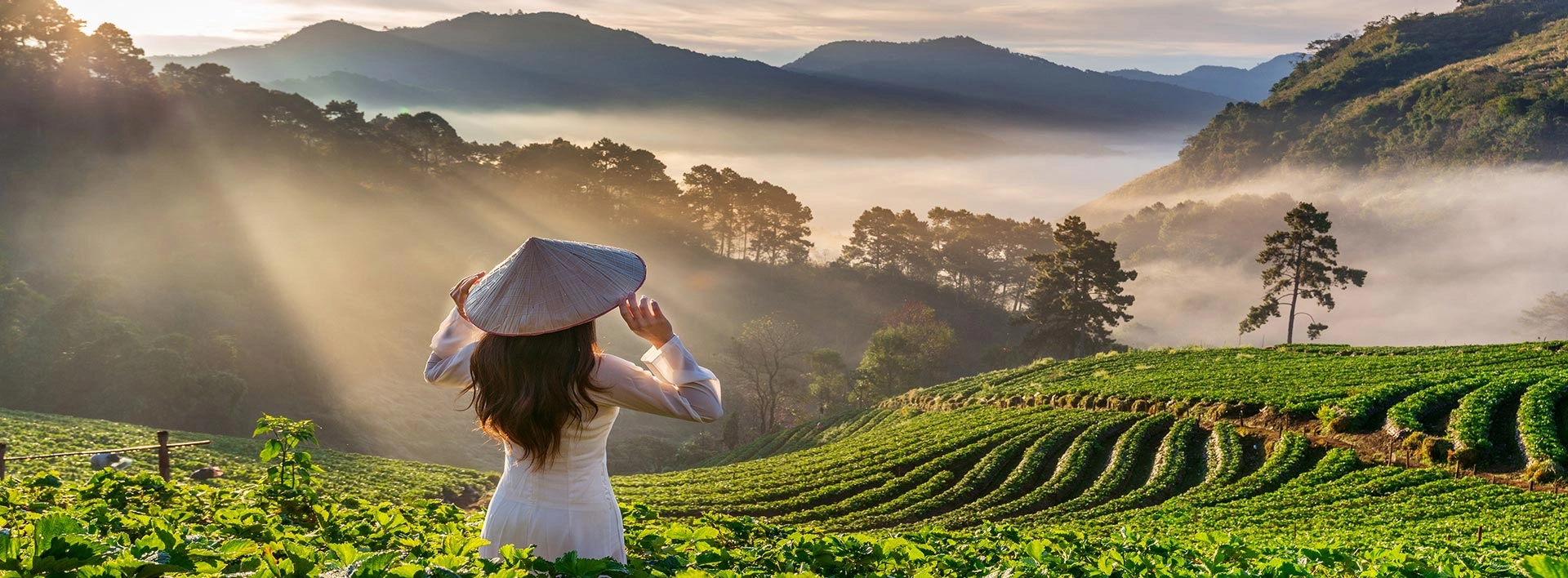 Viaggio multinazionali