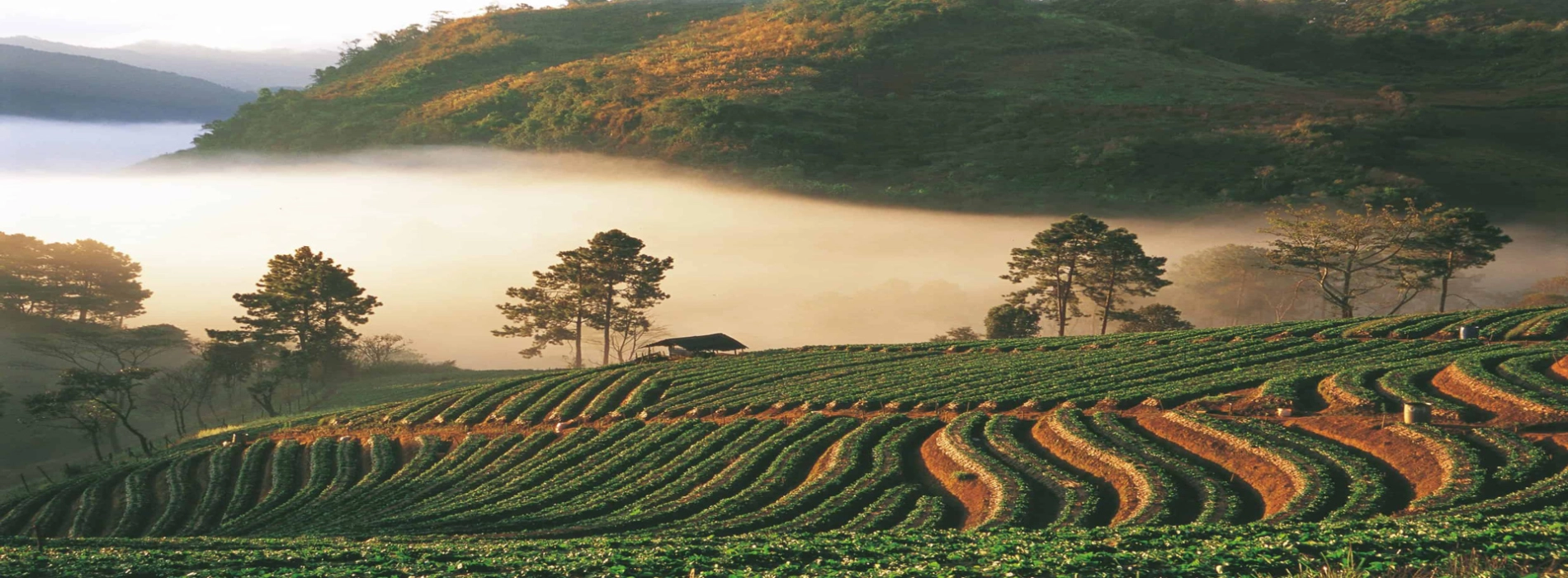 Agenzia di viaggio Sud-Est Asiatico: guida