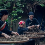 Tour Thai Nguyen 1 Giorno: Scopri il Villaggio Thai Hai