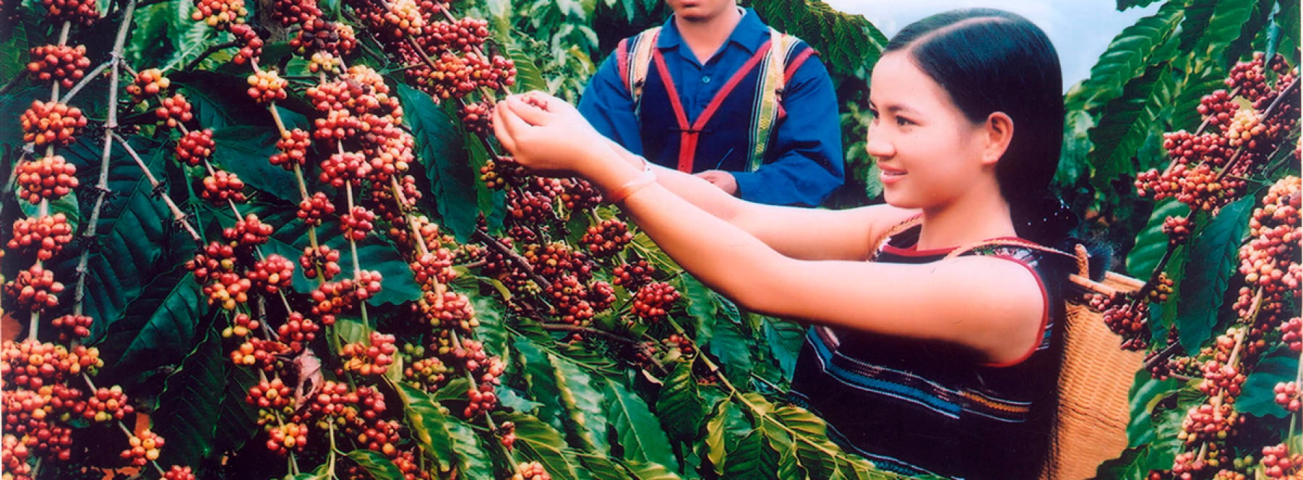 TOP DEI CAFFÈ DA PROVARE ASSOLUTAMENTE IN VIETNAM