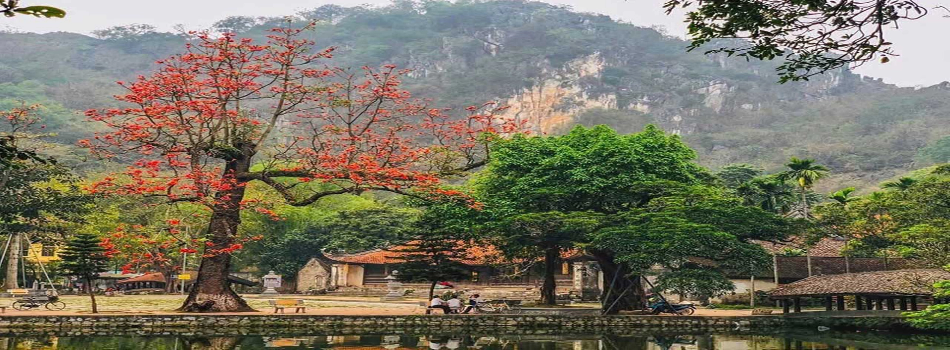 Pagode e templi in Vietnam: guida completa tra spiritualità