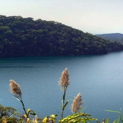 Area di conservazione di Dong Ampham