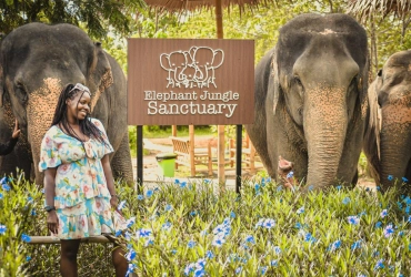 Chiang Mai - Elephant Jungle Sanctuary - Chiang Mai (B/L) Tour di gruppo con guida parlante inglese