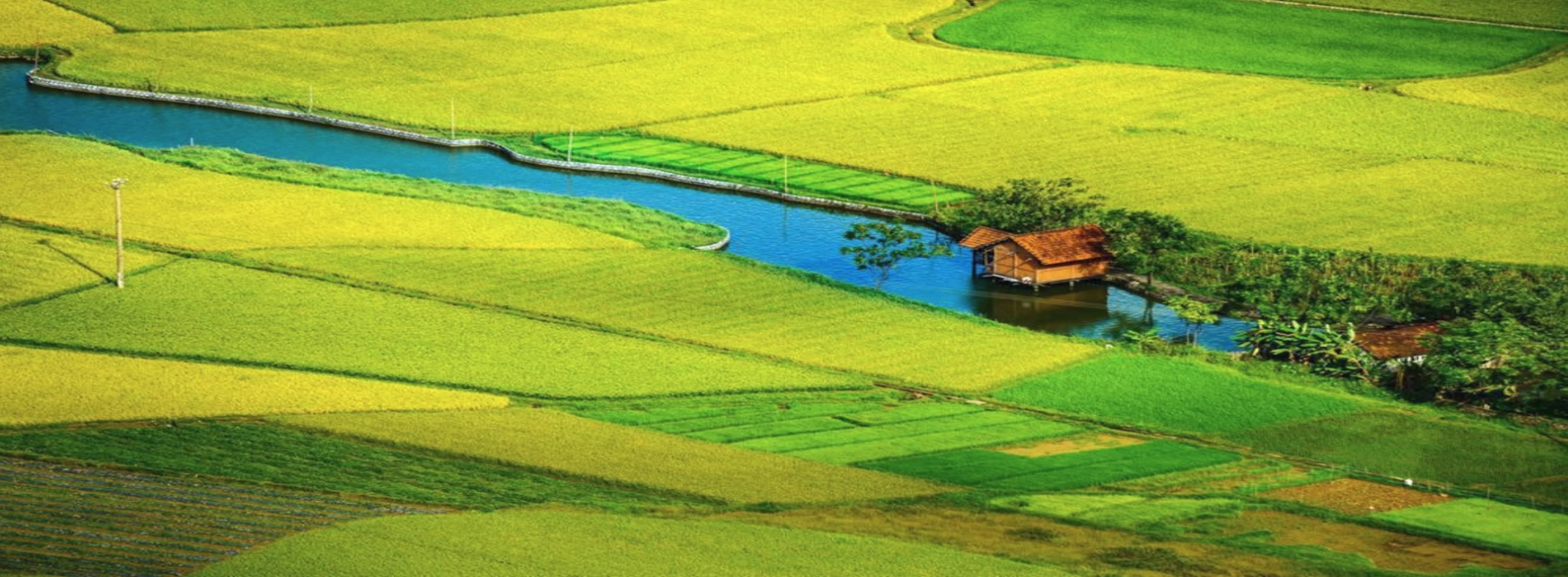 Stagione migliore Vietnam da nord a sud