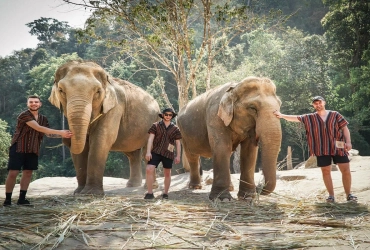 Chiang Mai - Esperienza con gli elefanti & visita della città di Chiang Mai - Chiang Mai (B/L) Le attività con gli elefanti si svolgeranno nell’ambito di un tour di gruppo