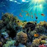 Tour di Phuket e Koh Phi Phi 3 giorni: Fuga Tropicale