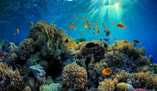 Thailandia: Vacanza di 12 giorni esplorando la cultura e le spiagge