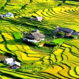 Alla scoperta della bellezza in Vietnam del Nord 10 giorni