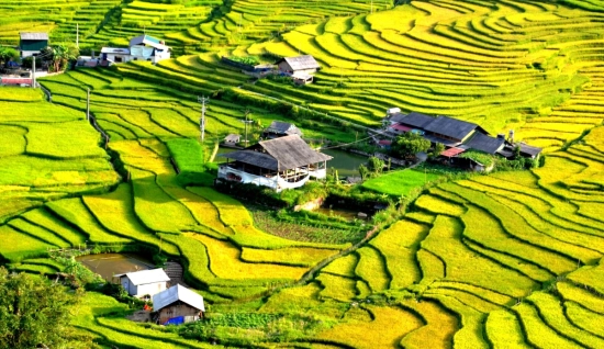 Alla scoperta della bellezza in Vietnam del Nord 10 giorni