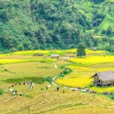 Alla scoperta della bellezza in Vietnam del Nord 10 giorni