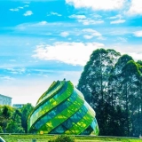 Esplorazione incantevole del Sud del Vietnam 10 giorni