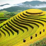 Dal nord al centro del Vietnam 12 giorni: Esplora la cultura Vietnam