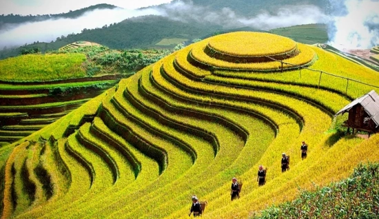 Dal nord al centro del Vietnam 12 giorni: Esplora la cultura Vietnam