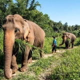 Thailandia sotto le luci delle lanterne 11 giorni 10 nottti