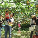 Tour del Vietnam 10 giorni - Scoperta della cucina