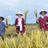 Tour Nam Dinh 2 Giorni: Natura, Arte Popolare e Vita Costiera