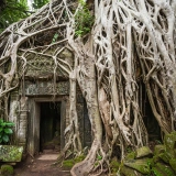 Trekking In Phnom Penh - Kampot 4 giorni 3 notti