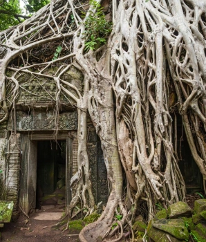 Tour di 2 Giorni e 1 Notte a Mondulkiri – Natura selvaggia ed etnie autentiche