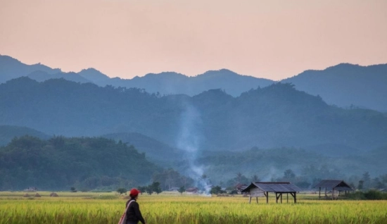 Campeggio nella giungla a Nam Ha 5 giorni