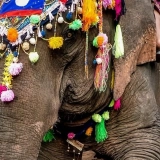 Tour di 2 Giorni e 1 Notte a Savannakhet