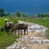Tour di 3 Giorni e 2 Notti a Bolikhamsay – Avventura tra grotte, templi e villaggi rurali