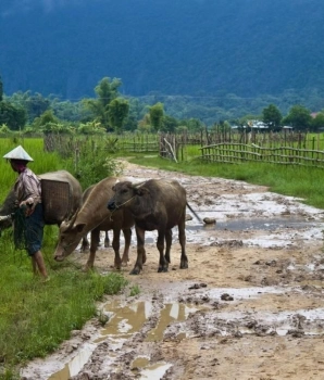 Tour di 3 Giorni e 2 Notti a Bolikhamsay – Avventura tra grotte, templi e villaggi rurali