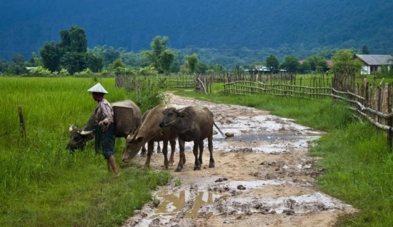 Tour di 3 Giorni e 2 Notti a Bolikhamsay – Avventura tra grotte, templi e villaggi rurali