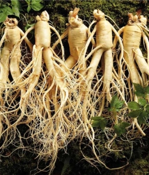 Tour di 3 Giorni e 2 Notti a Sekong