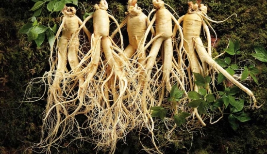 Tour di 3 Giorni e 2 Notti a Sekong