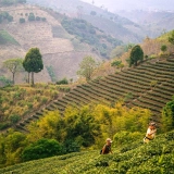 Tour Thailandia - Viaggio in Thailandia 12 giorni