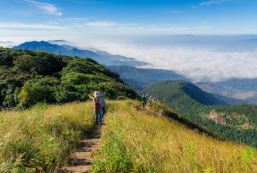 Chiang Mai - Parco Nazionale Doi Inthanon - Chiang Mai (B)